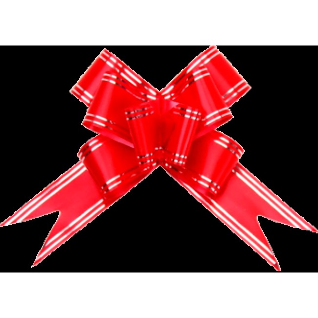 LACO VERMELHO 32X510 C/10