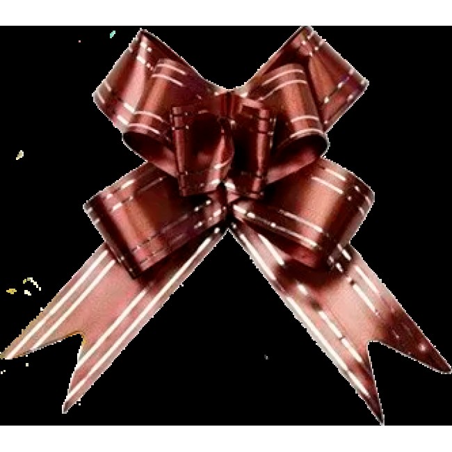 LACO MARROM 32X510 C/10