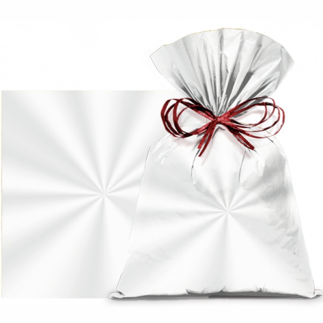 SACO TRANSP INCOLOR 10X14 C/100