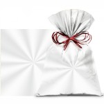 SACO TRANSP INCOLOR 20X29 C/100