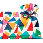 SACO SHAGGY 60X90 C/25