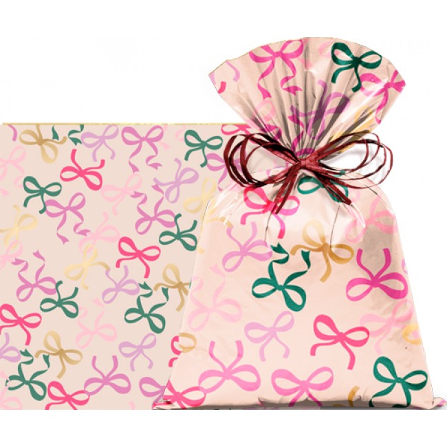 SACO LACAROTE 25X37 C/50