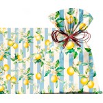 SACO SICILIA 45X59 C/25