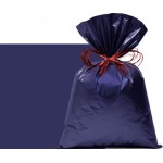SACO PEROLADO AZUL DENIN 50X70 C/25