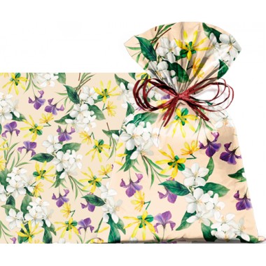 SACO NATALIA 25X37 C/50